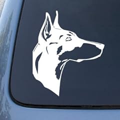 Doberman head dog for sale  Delivered anywhere in USA 