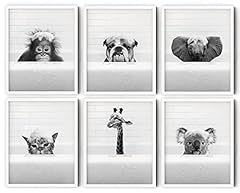 Funny bathroom decor for sale  Delivered anywhere in USA 
