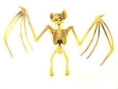 Bat skeleton bones for sale  Delivered anywhere in UK