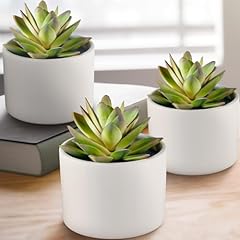 Seeko succulents artificial for sale  Delivered anywhere in USA 