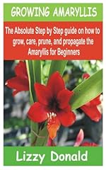 Growing amaryllis absolute for sale  Delivered anywhere in USA 