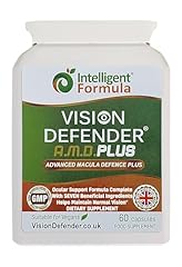 Vision defender amd usato  Spedito ovunque in Italia 