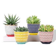 Selamica ceramic plant for sale  Delivered anywhere in USA 