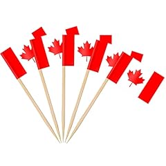 Ahfulife 100pcs drapeau d'occasion  Livré partout en France