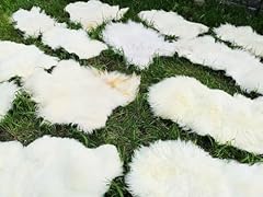 Provellus vera pelle usato  Spedito ovunque in Italia 
