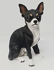 Chihuahua black white for sale  Delivered anywhere in USA 