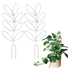 2pack indoor plant for sale  Delivered anywhere in USA 