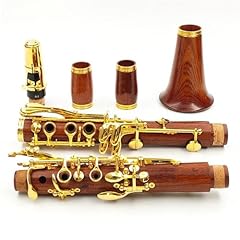 Buffet clarinetto professional usato  Spedito ovunque in Italia 