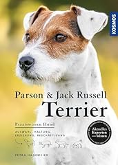 Parson jack russell gebraucht kaufen  Wird an jeden Ort in Deutschland