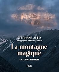 Montagne magique carnet d'occasion  Livré partout en France