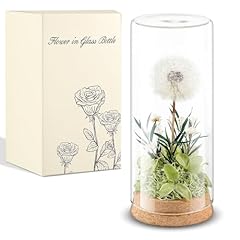 Blulu pusteblume wunscherfüll gebraucht kaufen  Wird an jeden Ort in Deutschland