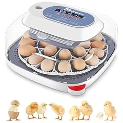Sailnovo eggs incubators for sale  Delivered anywhere in USA 