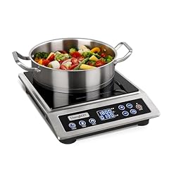 Changbert portable induction for sale  Delivered anywhere in USA 