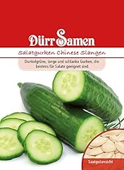 Salatgurke samen chinese gebraucht kaufen  Wird an jeden Ort in Deutschland