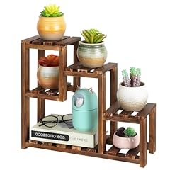 Jotboom small succulent for sale  Delivered anywhere in USA 