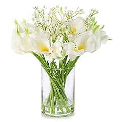 Enova floral calla for sale  Delivered anywhere in USA 