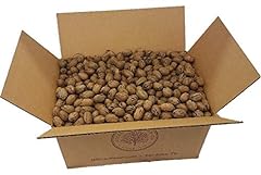Lbs texas squirrel for sale  Delivered anywhere in USA 