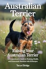 Australian terrier raising for sale  Delivered anywhere in UK