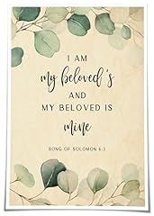 Belceleb song solomon for sale  Delivered anywhere in USA 