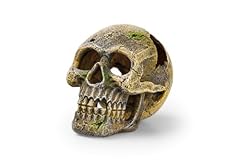 Eden 95228 totenkopf gebraucht kaufen  Wird an jeden Ort in Deutschland