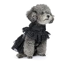 Pet dog cat for sale  Delivered anywhere in USA 