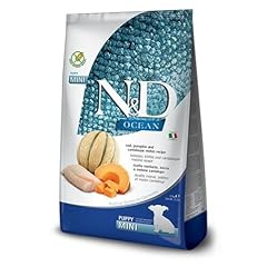 Ocean dog cod usato  Spedito ovunque in Italia 