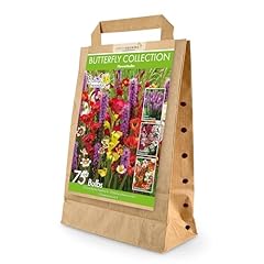 Bee butterfly summer for sale  Delivered anywhere in UK
