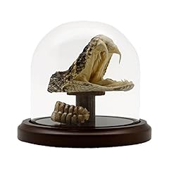 Treasure gurus eastern for sale  Delivered anywhere in USA 