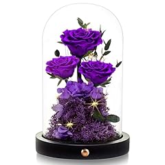 Agrul flowers roses for sale  Delivered anywhere in USA 