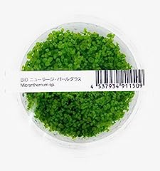 Ada tissue culture for sale  Delivered anywhere in USA 