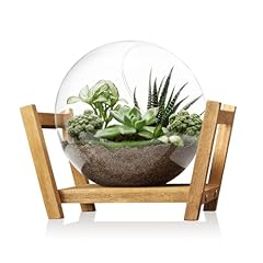 Monoture glass plant for sale  Delivered anywhere in USA 