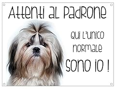 Cartello cane shih usato  Spedito ovunque in Italia 