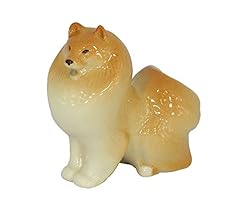 Pomeranian brown for sale  Delivered anywhere in UK