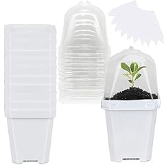 Gionar 10pcs plant for sale  Delivered anywhere in UK