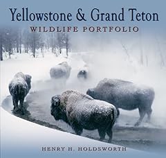 Yellowstone grand teton for sale  Delivered anywhere in USA 