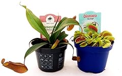 Powers flowers nepenthes usato  Spedito ovunque in Italia 