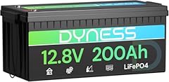 Dyness batteria litio usato  Spedito ovunque in Italia 