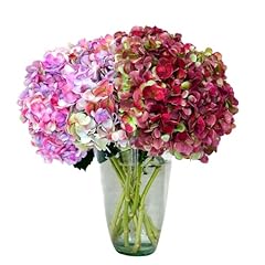 Flores del este for sale  Delivered anywhere in USA 