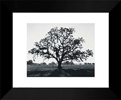 Ansel adams framed for sale  Delivered anywhere in USA 