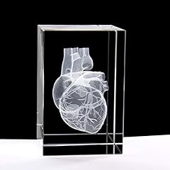 Human heart anatomical for sale  Delivered anywhere in USA 