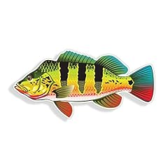Peacock bass fish for sale  Delivered anywhere in USA 