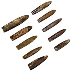 Ciyodo real specimens for sale  Delivered anywhere in UK