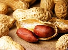 Champ peanut seeds for sale  Delivered anywhere in USA 