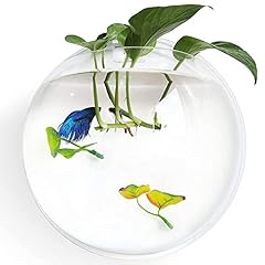 Noodoky betta fish for sale  Delivered anywhere in USA 