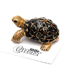 Little critterz tortoise for sale  Delivered anywhere in USA 