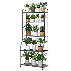 Simple trending plant for sale  Delivered anywhere in USA 