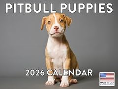 Pitbull puppy calendar for sale  Delivered anywhere in USA 