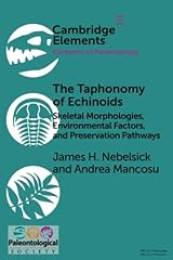 Taphonomy echinoids skeletal for sale  Delivered anywhere in USA 