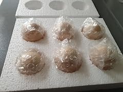 Silkie hatching eggs for sale  Delivered anywhere in UK