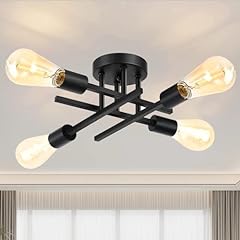 Ceiling light light for sale  Delivered anywhere in USA 